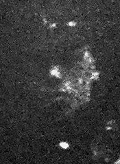 Portrait of Lance Corporal Sidney Albert Edwards